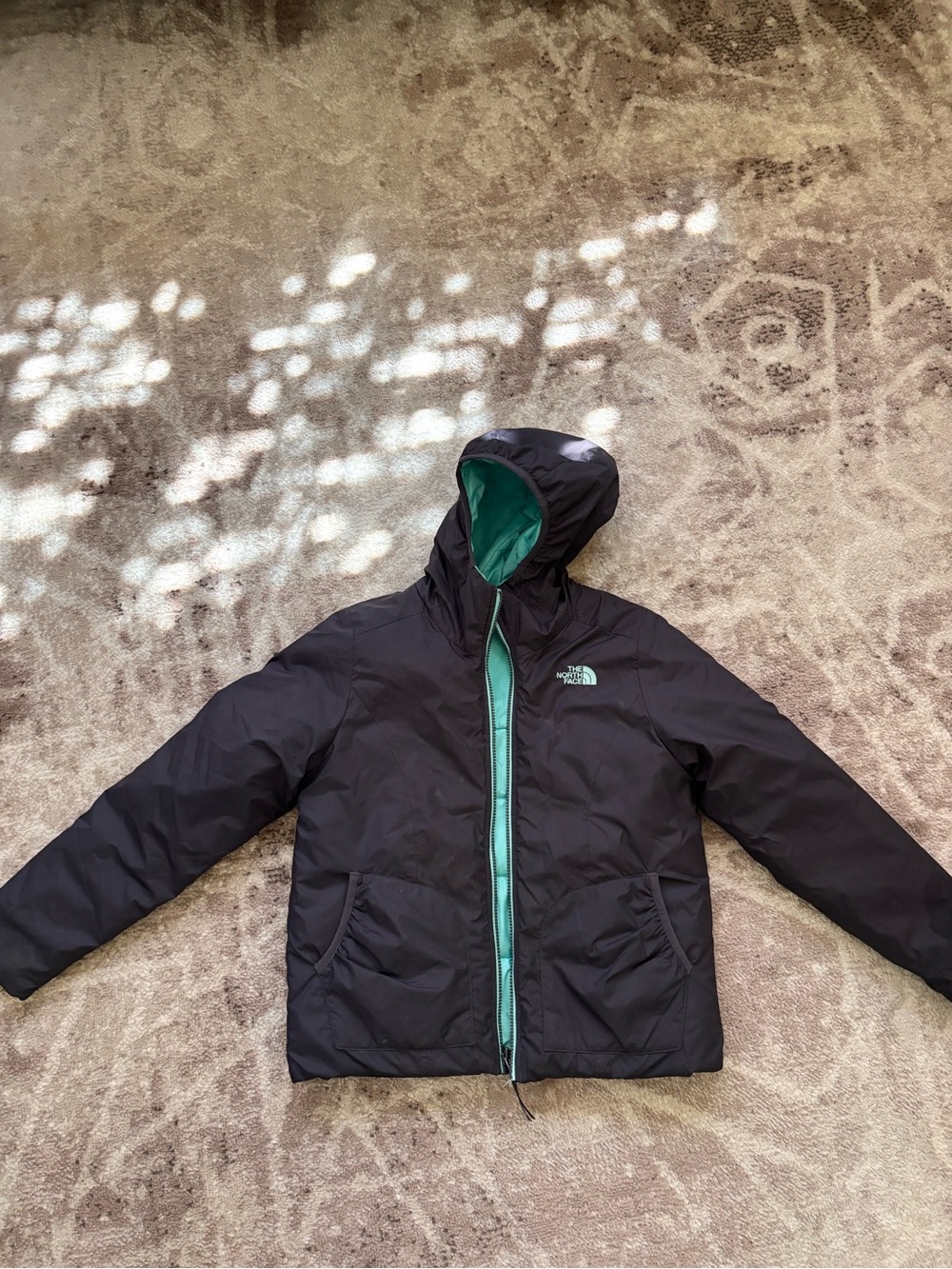 The North Face Black Kids Hooded Puffer with Teal Lining